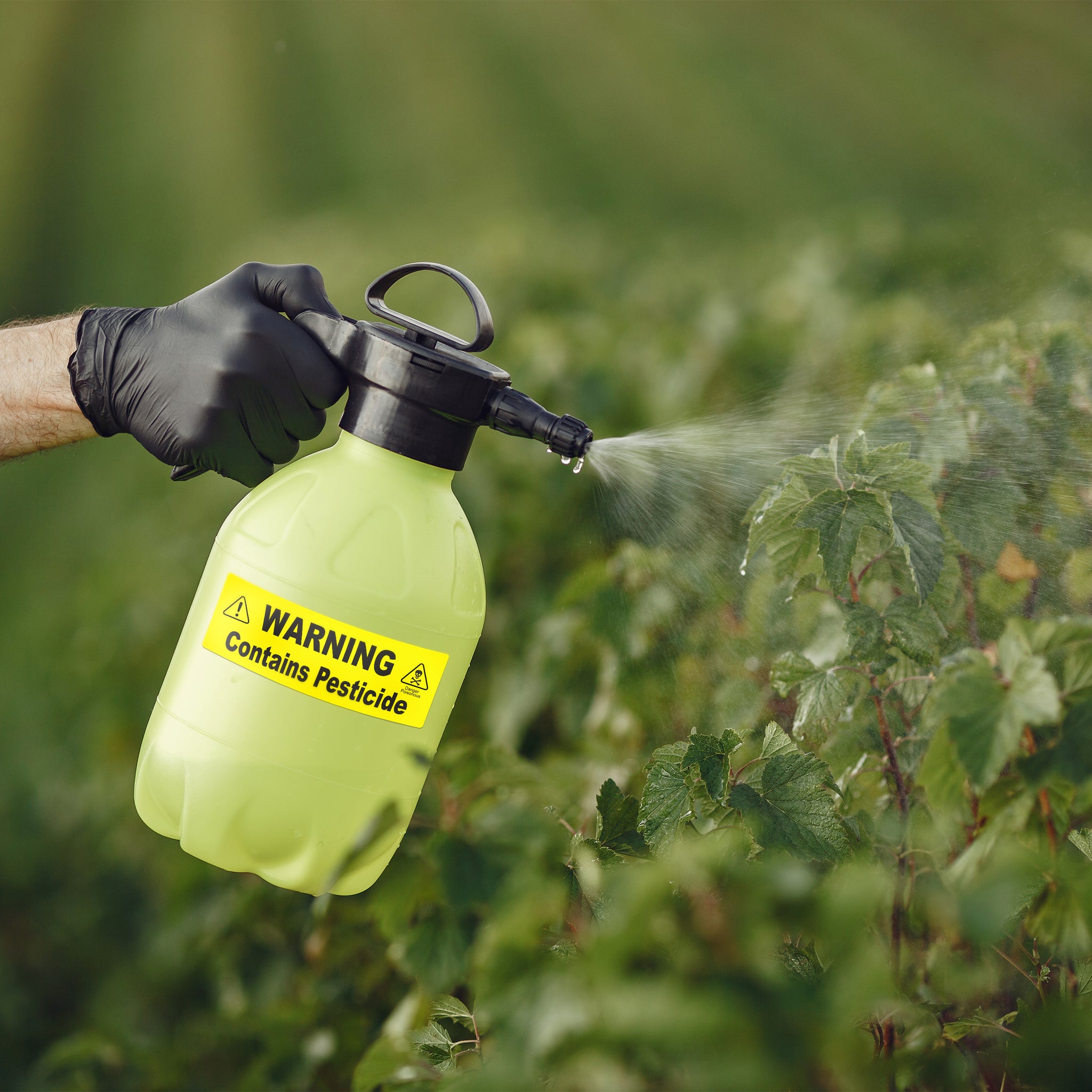 Pesticide Sticker | Pump Sprayer Labels by Fuel Stickers | 2"x6" | 2 Pack